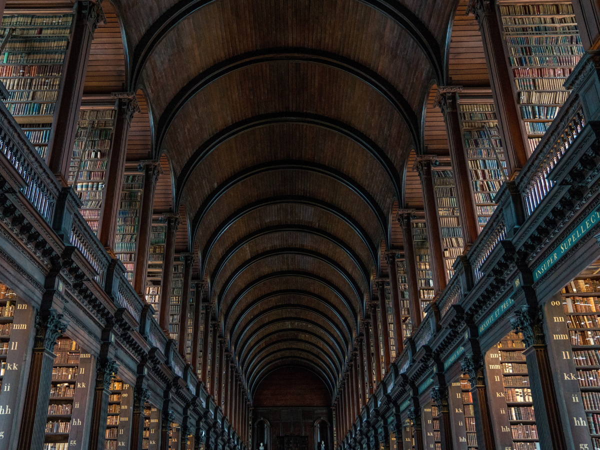 The Library of Lost Books